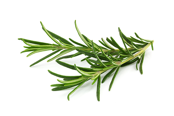 Unlocking the Beauty Secrets of Rosemary: Revitalize Your Skin and Hair